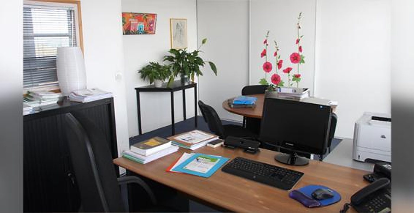 Un bureau lumineux avec un écran d'ordinateur, un clavier, des dossiers, une imprimante, des plantes vertes et des roses trémières peintes sur le mur.