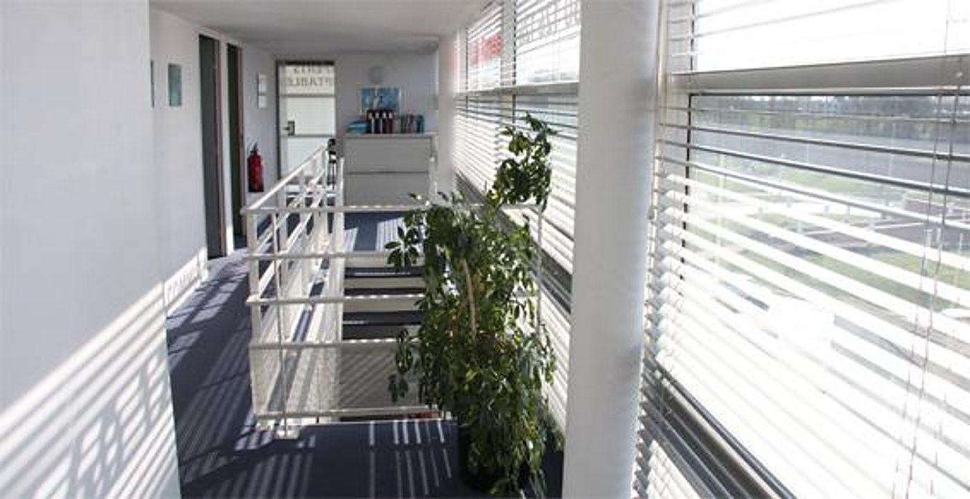 Un couloir moderne au sol gris bordé d'une rambarde blanche, avec de grandes fenêtres à stores vénitiens et une plante verte.
